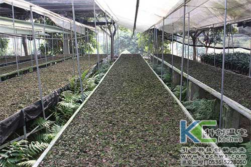 無土栽培，無土栽培技術(shù)，無土栽培設(shè)備