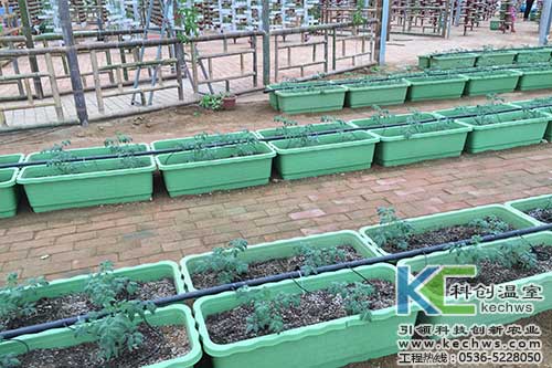 無土栽培，無土栽培技術，盆式