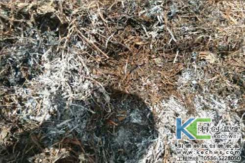 無土栽培，無土栽培技術，無土栽培設備