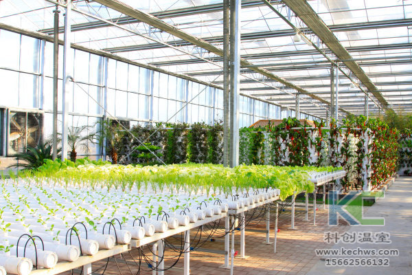 無土栽培，無土栽培技術(shù)，無土栽培設備