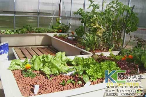 無土栽培，無土栽培技術，無土栽培設備