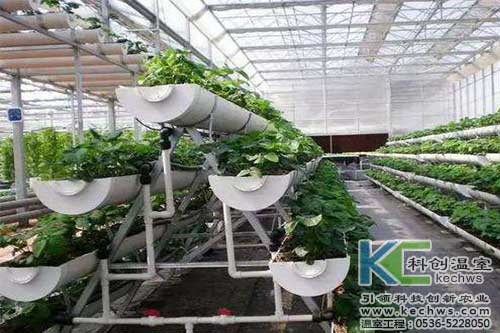 無土栽培，無土栽培技術，無土栽培設備