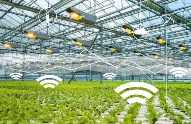 無土栽培，無土栽培技術，無土栽培設備