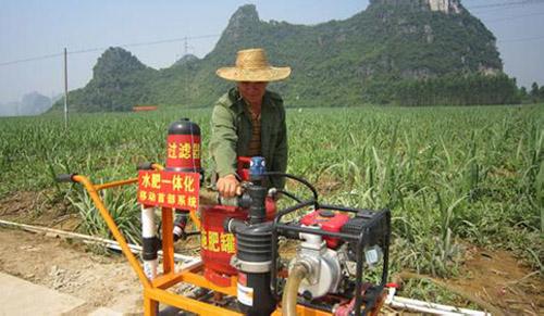無土栽培，無土栽培技術，無土栽培設備