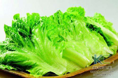 無土栽培，無土栽培技術，無土栽培設備