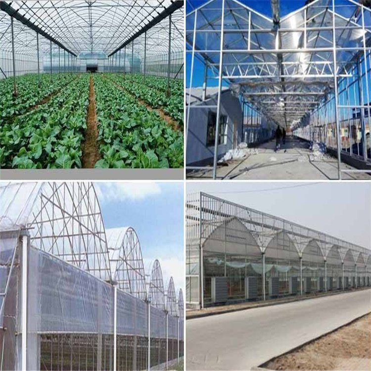 無土栽培，無土栽培技術(shù)，無土栽培設(shè)備