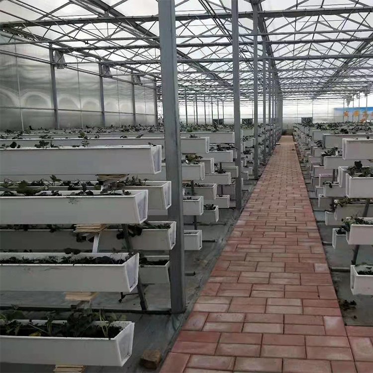 無土栽培，無土栽培技術(shù)，無土栽培設(shè)備