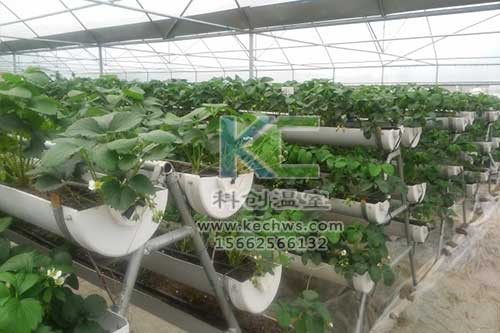 無土栽培，無土栽培技術(shù)，無土栽培設(shè)備