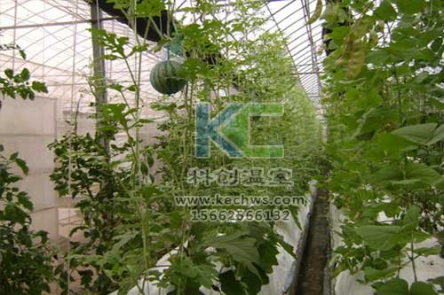 無土栽培，無土栽培技術，無土栽培設備
