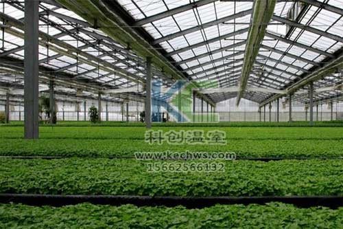 無土栽培，無土栽培技術(shù)，無土栽培設(shè)備