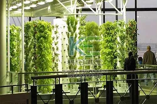 無(wú)土栽培，無(wú)土栽培技術(shù)，無(wú)土栽培設(shè)備