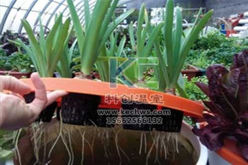 無土栽培，無土栽培技術(shù)，無土栽培設(shè)備