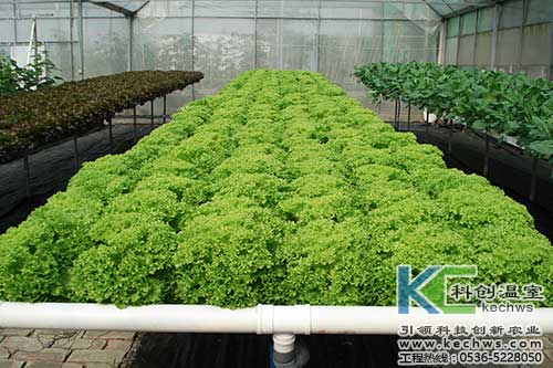 無土栽培，無土栽培技術，無土栽培設備