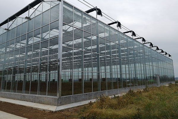 無土栽培，無土栽培技術(shù)，無土栽培設(shè)備