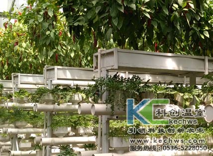 無土栽培，無土栽培技術，無土栽培設備