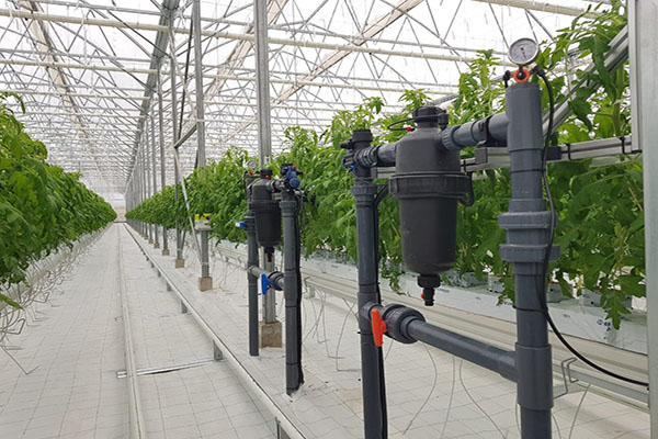 無土栽培，無土栽培技術(shù)，無土栽培設(shè)備
