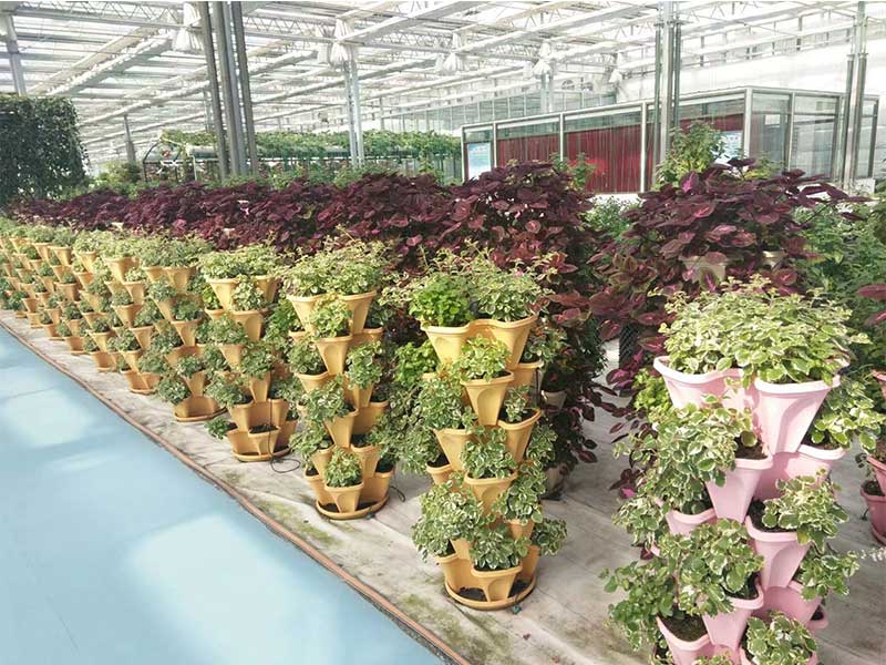 無土栽培，無土栽培技術，無土栽培設備